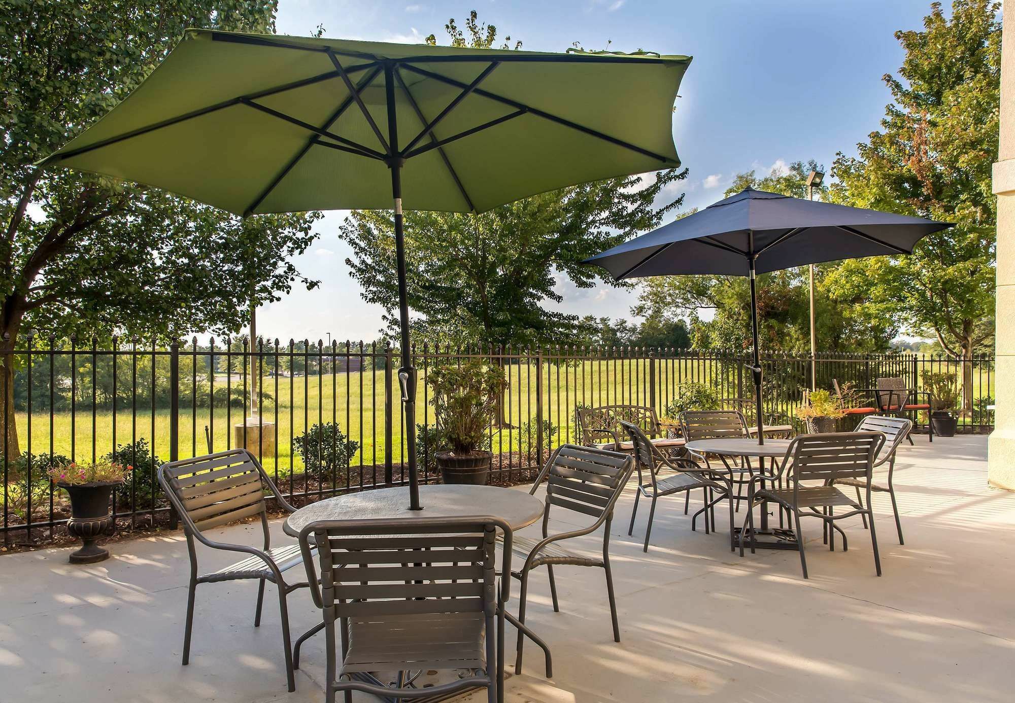 Springhill Suites By Marriott Memphis East Galleria Dış mekan fotoğraf